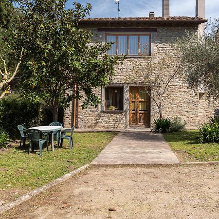 Agriturismo Il Ponte - Frantoio Vicchio Exterior photo